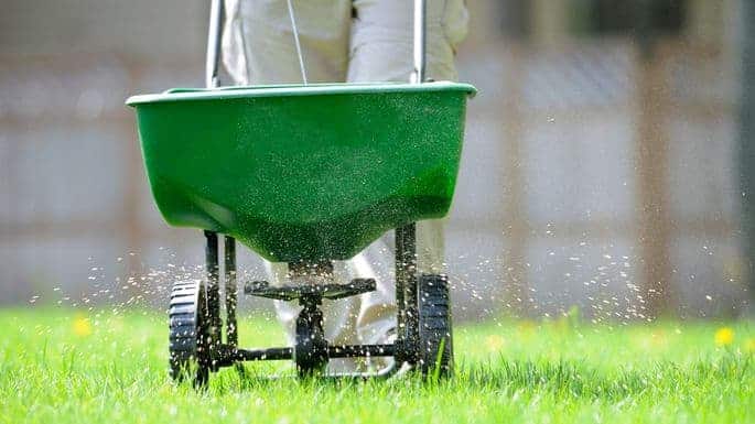 Fertilizer 101: Simple Tips To Grow Your Greenest Lawn Ever Thumbnail image