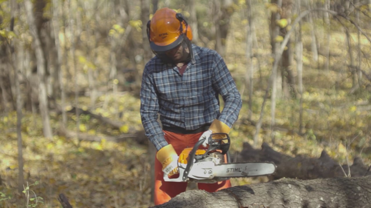 Handheld Equipment Essentials: Chainsaws, String Trimmers, and Leaf Blowers Thumbnail image