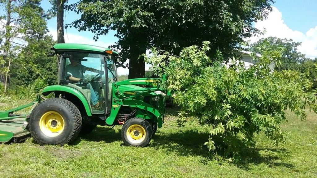 Banish Buckthorn From Your Woodlands Minnesota Equipment