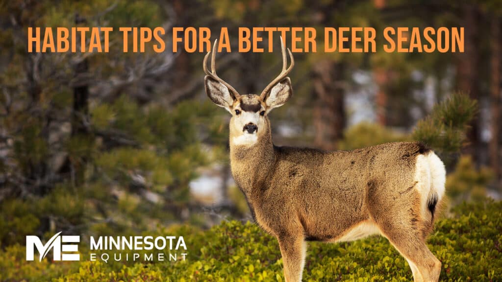 Habitat Tips For A Better Deer Season thumbnail photo