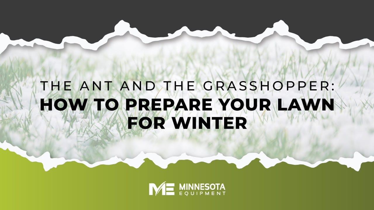 The Ant and The Grasshopper: How to Prepare Your Lawn for Winter Thumbnail image