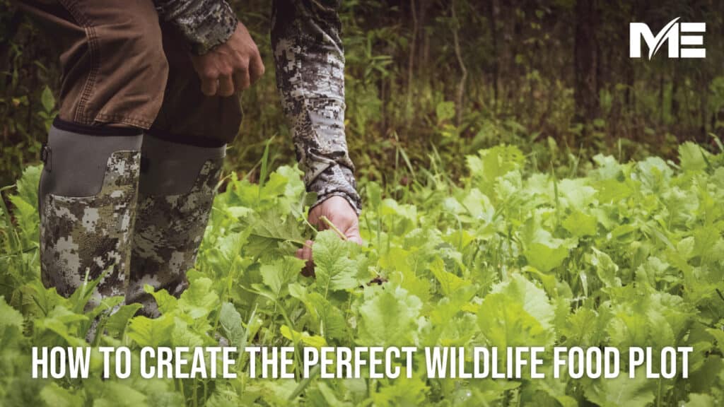 How To Create The Perfect Wildlife Food Plot thumbnail photo