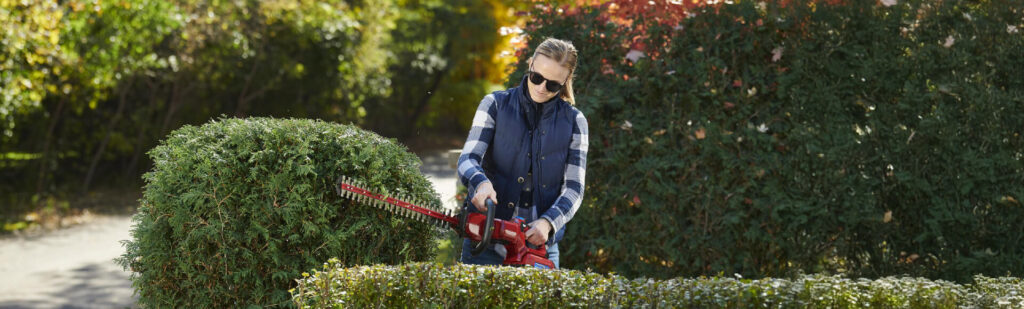 5 Handheld Tools Every Minnesota Gardener Should Own thumbnail photo