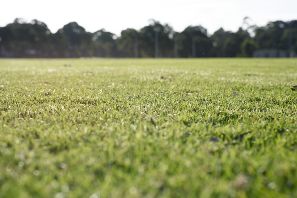 Why Minnesota’s Cool-Season Grasses Require Specific Mowing Equipment thumbnail photo