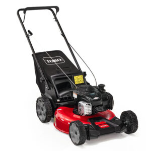 Toro 21 in. Recycler Push Gas Walk Behind Mower (21311)